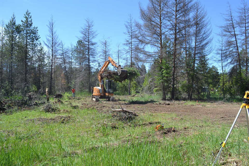 Excavator clears trees