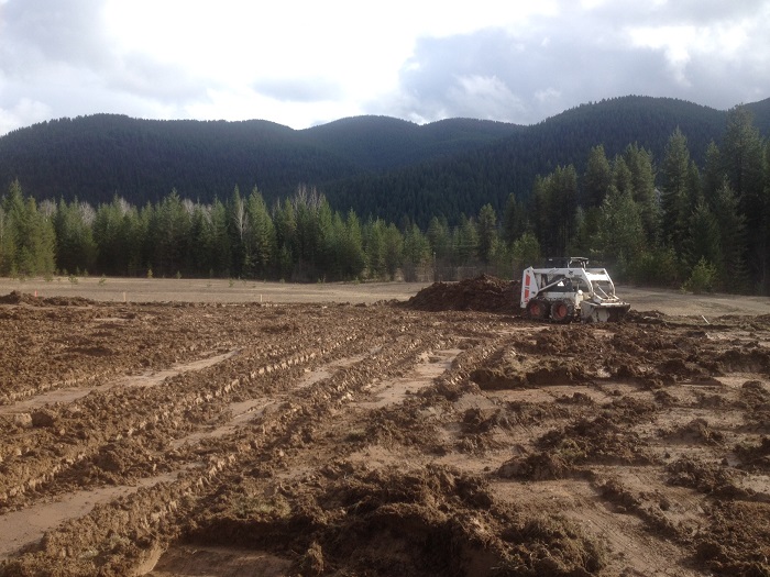 skidsteer