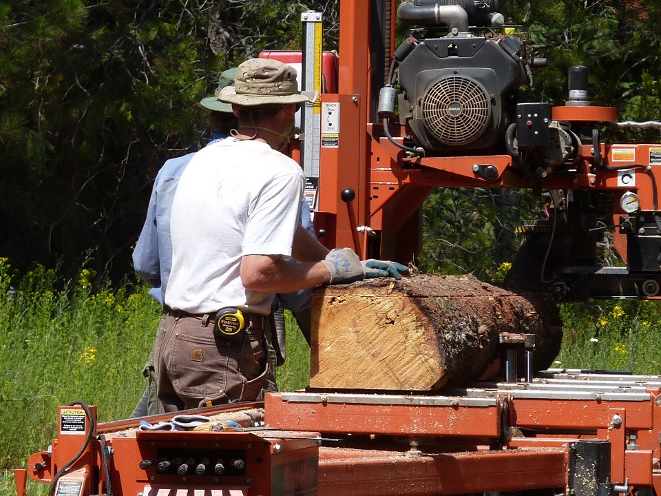 Woodmizer sawmill